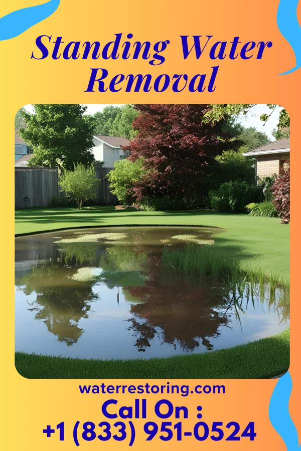 Standing Water Removal in Grand Lake, CO